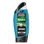 Radox Men 2-in-1 Gel de Ducha & Champú Revived - Menta y Minerales Marinos - 250 ml